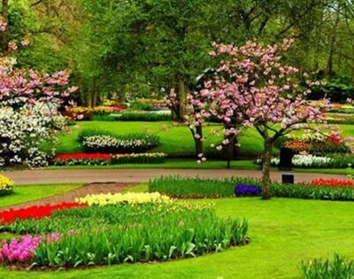 Bahasa Arabnya Taman Bunga: Keindahan dalam Bahasa yang Indah